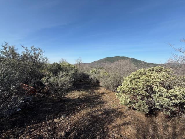 Patterson Ranch Road