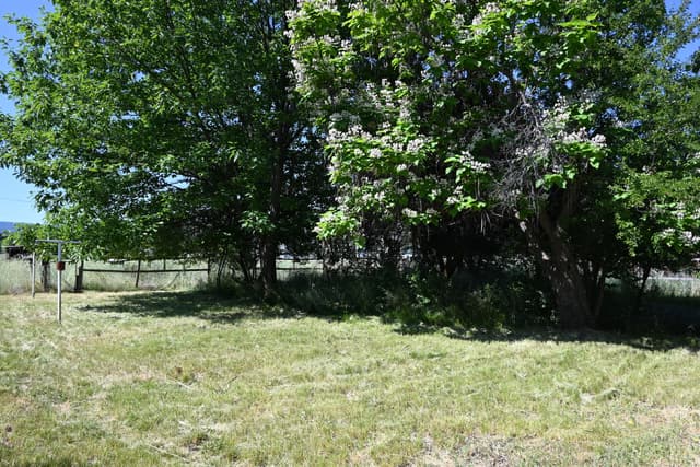 37019 Gunsmith Way