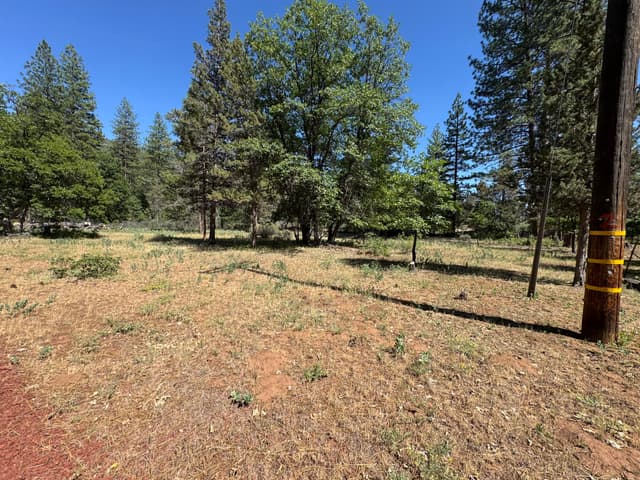 XXX Old Brown Ranch Road