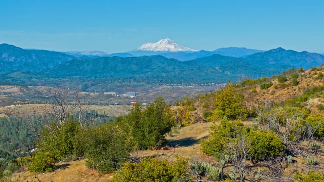 Rattlesnake Drive