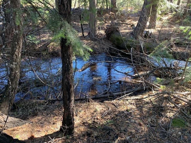 Lot 34 Princess Pine Place