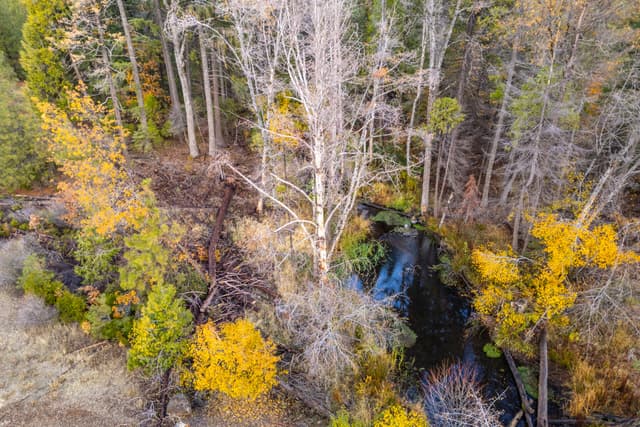 Lot 8 Princess Pine Place