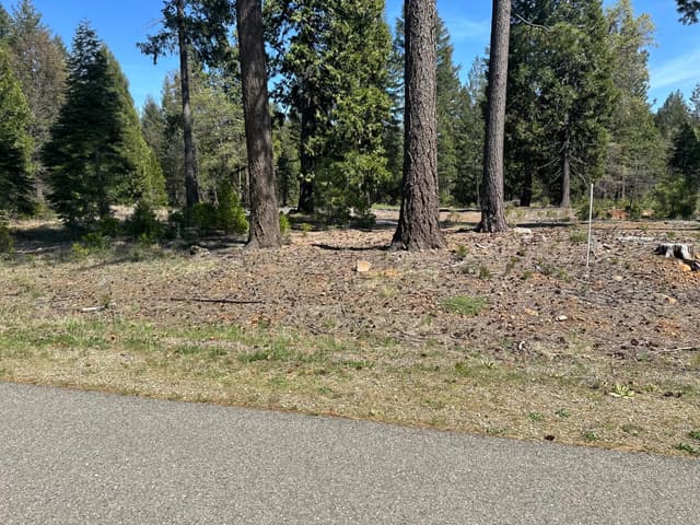 Lot 9 Princess Pine Place