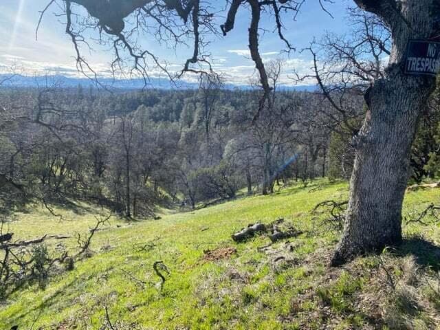Santa Ynez Drive