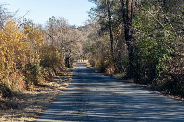 9977 Rainbow Lake Road