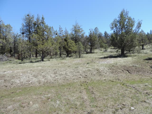 Lot 48 Natchez Court