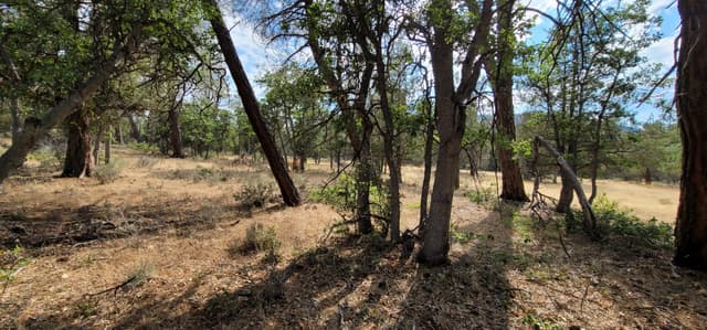 Lot 32 Shoshoni Loop