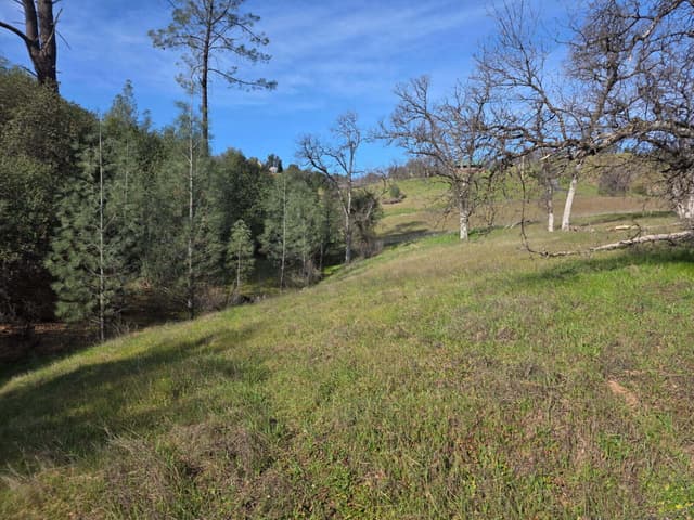 Elk Trail