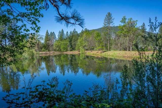 29865 Highway 299