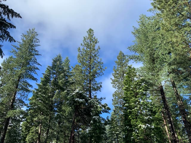 0 McCumber Lake Road