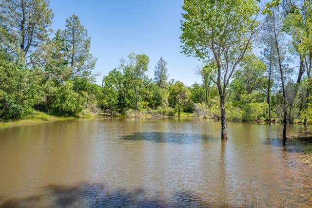 15517 Millie Drive