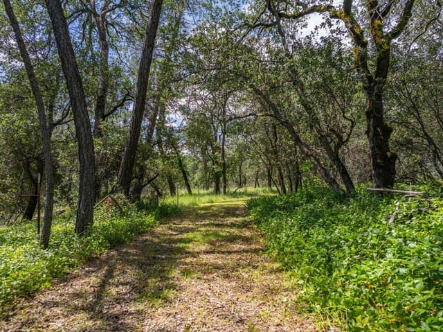 506 Black Canyon Road