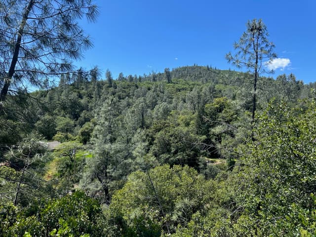 LOT Lake Boulevard