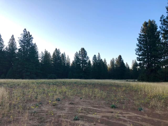 Black Ranch Road