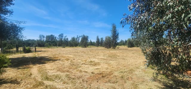 6582 Saddle Trail