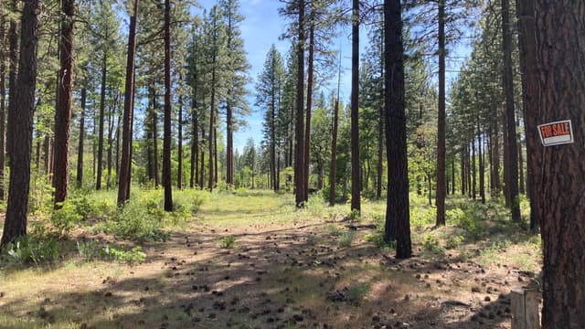 Lot 24 Big Lake Road