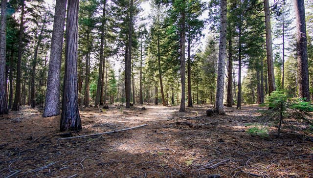 Lot 4 Ritts Mill Road