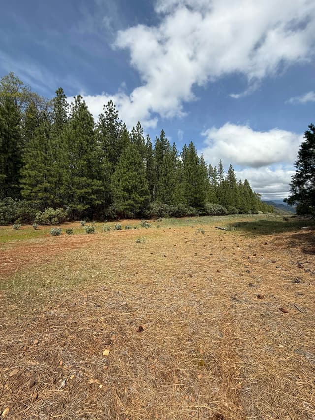 Ponderosa Way