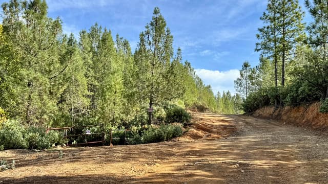 20 Acres Jones Valley