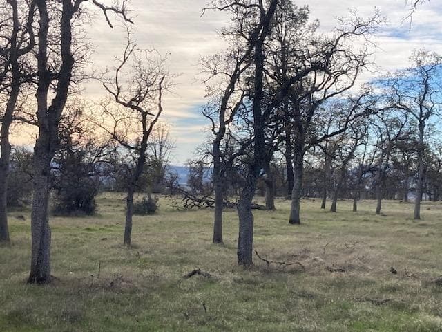 Campo Dios Road