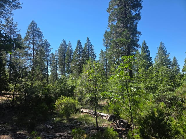 Lot 5 Waterleaf Lane