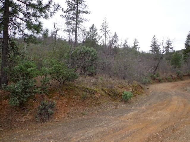 Backbone Road
