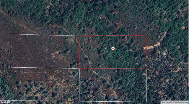 5 acres Platina School Rd-Shady Nook D