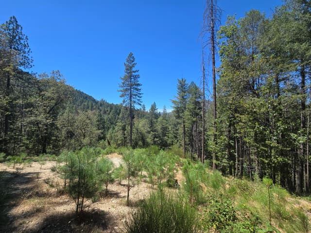 Roaring Brook Way