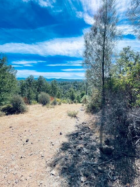 001 Oak Run Road