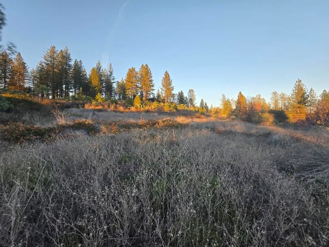 Donkey Mine Road