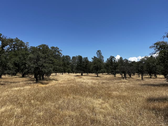 Wilson Hill Road