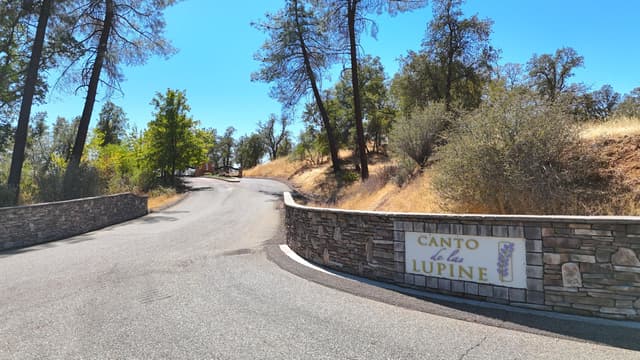 Canto De Las Lupine Drive