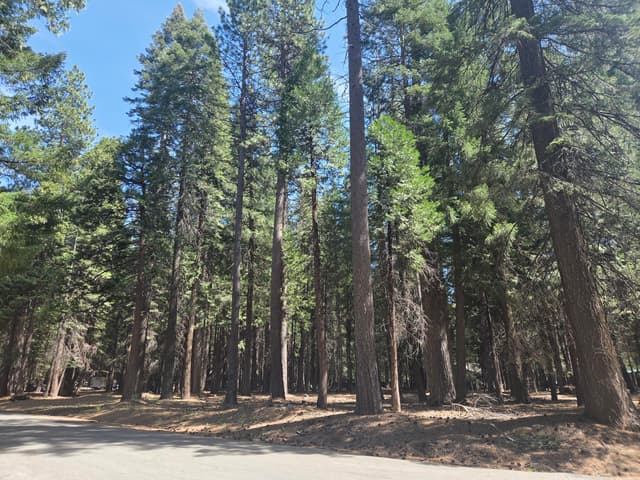 Lot # 6 Colossians Way