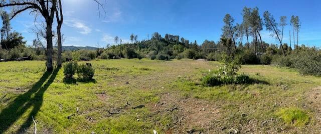 10266 White Star Road
