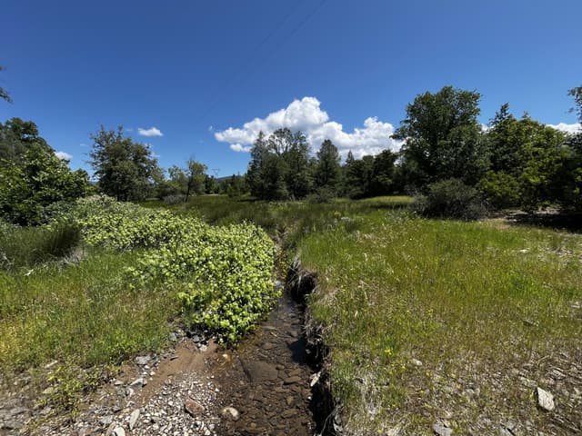 29609 Cedar Creek School Road
