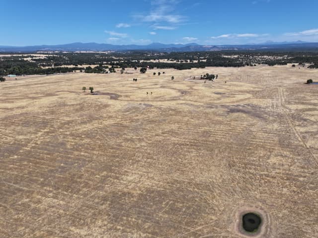 Millville Plains Road