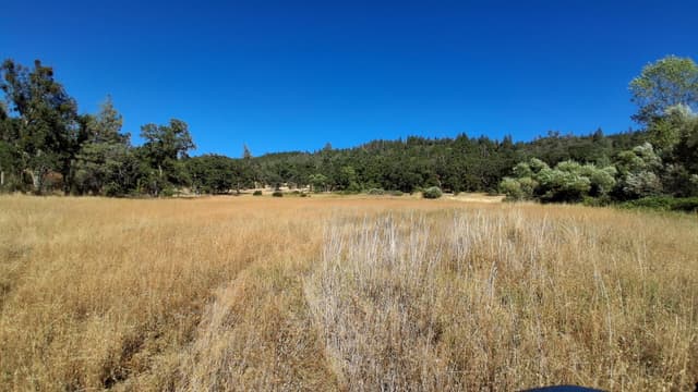 739 Acres Shingletown Ridge