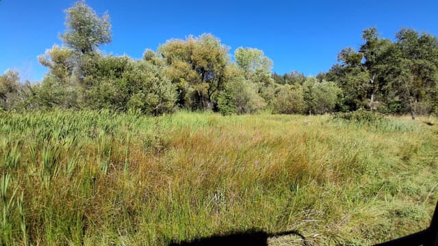 189 Acres Shingletown Ridge Road