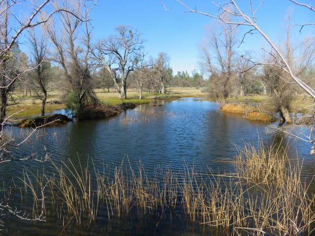 41 acres Ash Creek Road