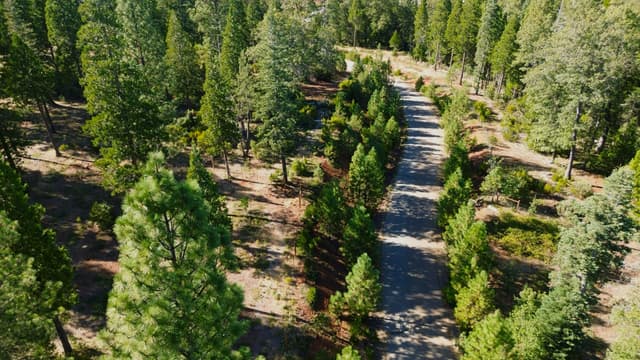 000 Waterleaf Lane
