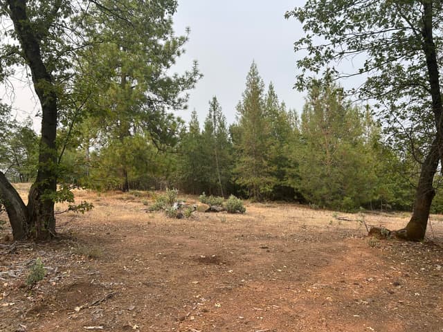 Sugar Pine Camp Road