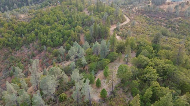 000 Sugar Pine Camp Road