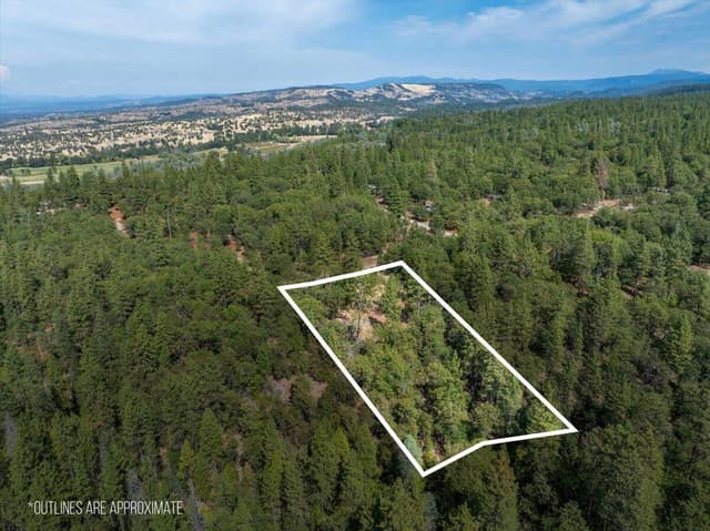 28759 Shingle Creek Lane