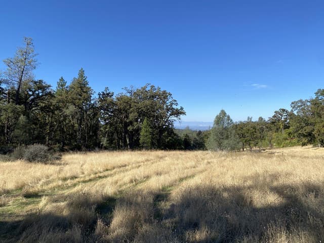 86 Acres Shingletown Ridge Road
