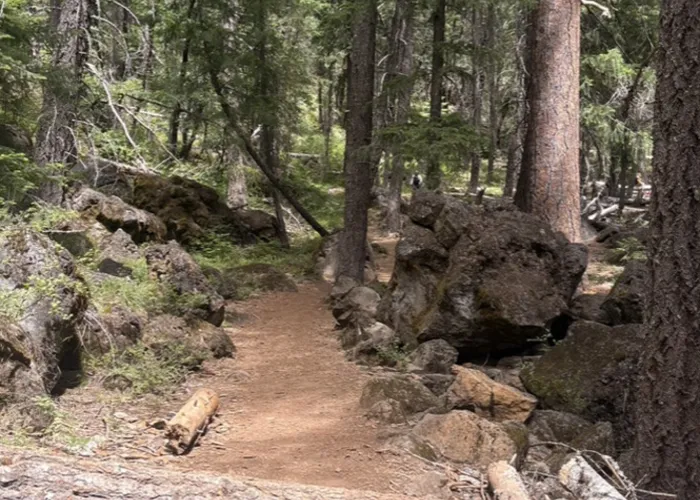 Falls on the McCloud River