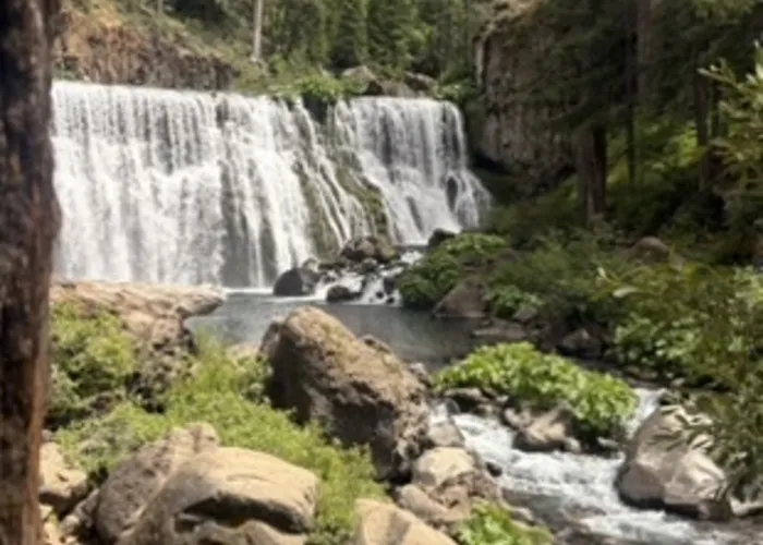 McCloud River scene