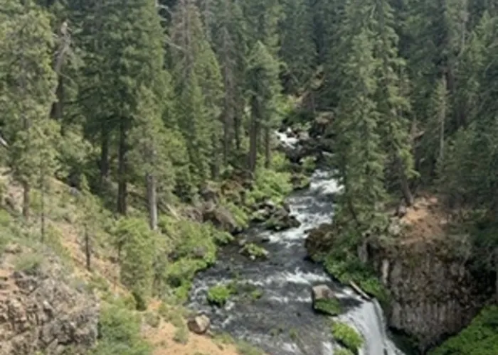 Forest trail near the falls
