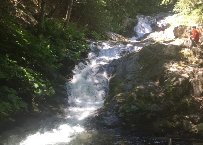 The falls in spring flow