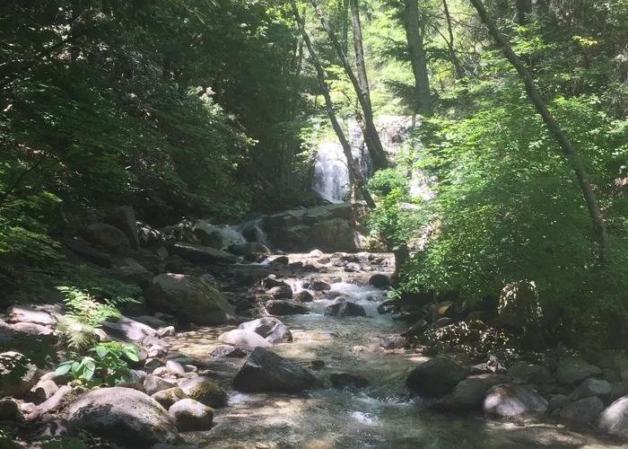 Creek along the Carr Trail