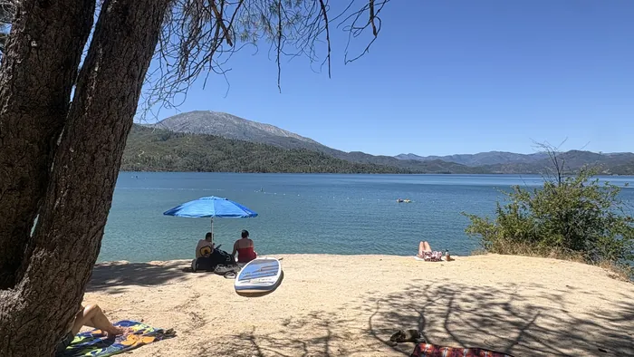 Shade trees along the swim beach at Whiskeytown Lake